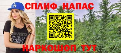 бошки Сланцы