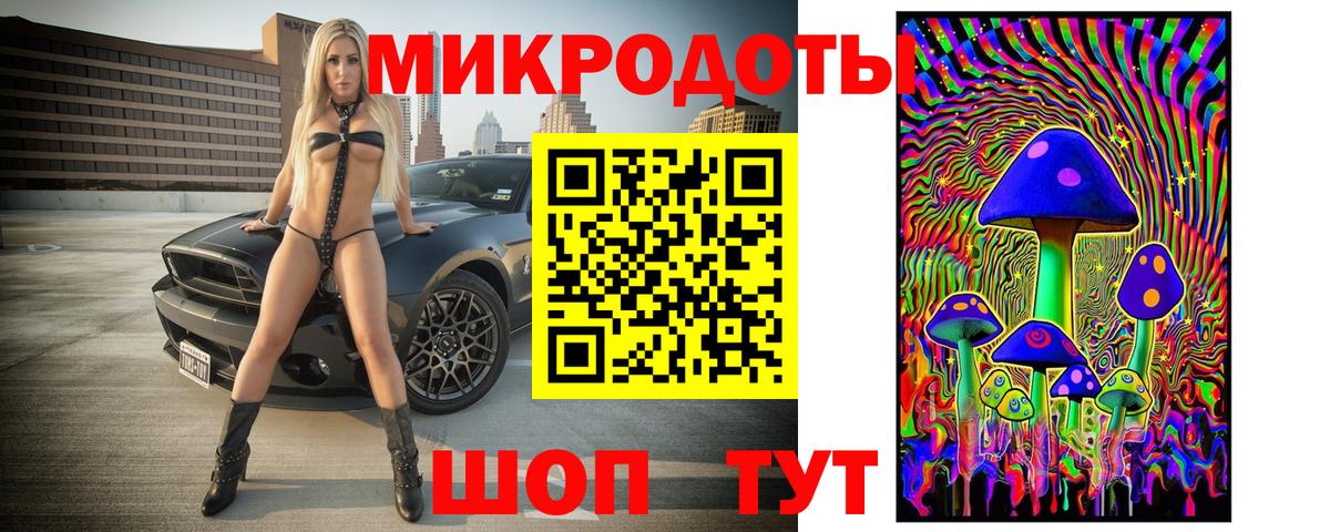 Бошки Шишки Светлоград